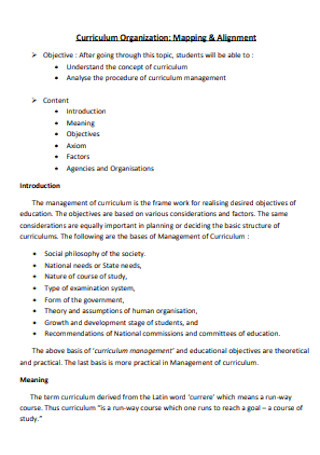 Curriculum Organization Plan