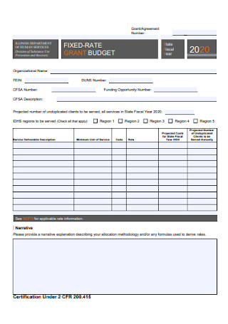 Fixed Rate Grant Proposal Template