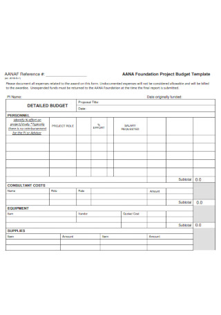 Foundation Project Budget Template 
