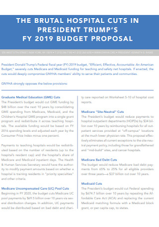 Hospital Proposal Budget Template