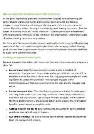 Implementation of the Action Plan