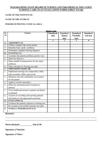 Nursing Care Plan Evaluation Form