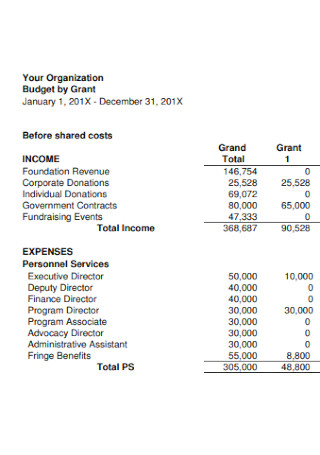 Organization Budget by Grant