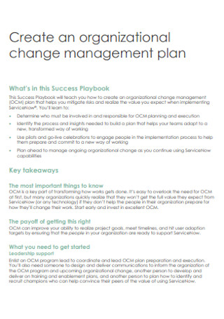 Organizational Change Management Plan 