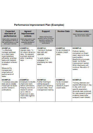 Performance Improvement Plan Example