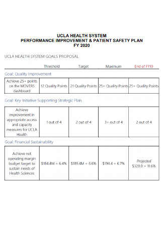 Performance Improvement and Patient Safety Plan