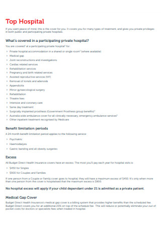 Private Hospital Budget Template