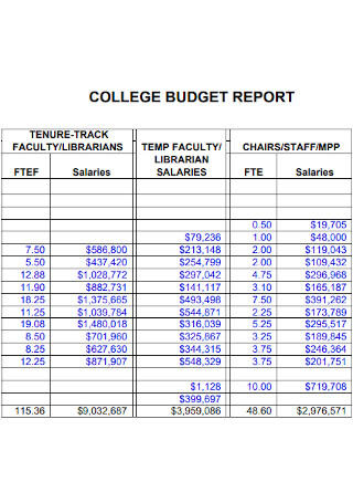 Sample College Budget Report