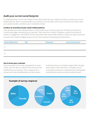 Social Footprint Strategy Plan