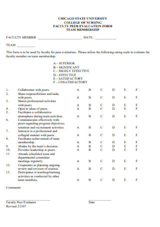 College Faculty Peer Evaluation Form