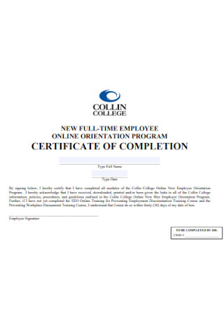 Completion Certificate Format