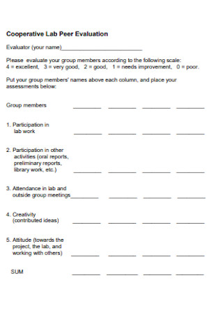 Cooperative Lab Peer Evaluation Form