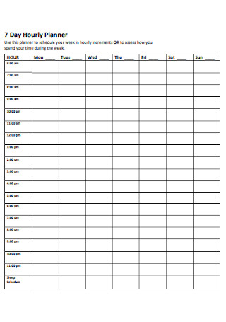 Day Hourly Planner Schedule