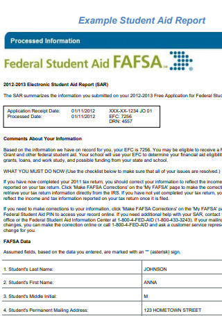 Example Student Aid Report