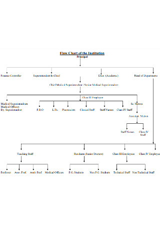 Flow Chart of the Institution
