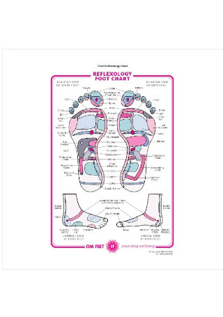 Foot Reflexology Chart Sample