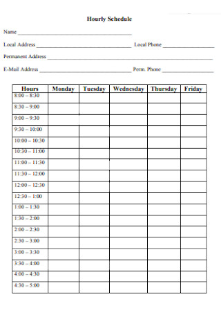 Hourly Schedule Format
