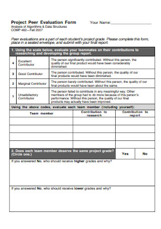 Project Peer Evaluation Form