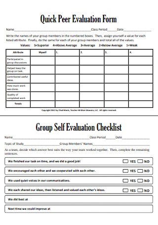 Quick Peer Evaluation Form 