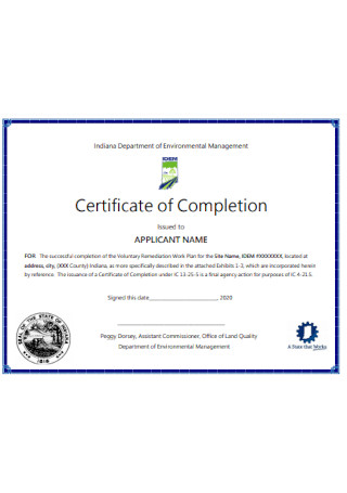 Sample Certificate of Completion Template
