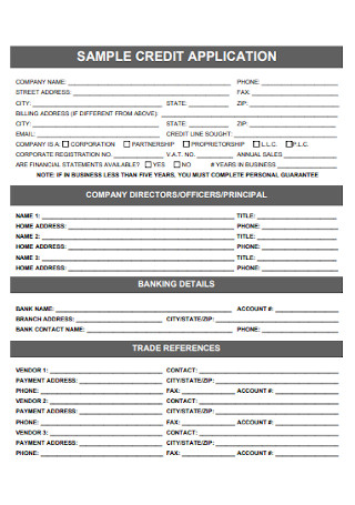 Sample Creidt Application Form