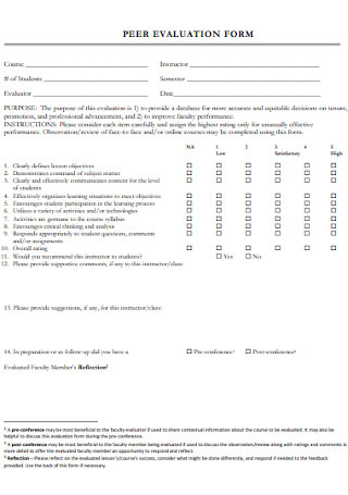 Standard Peer Evaluation Form