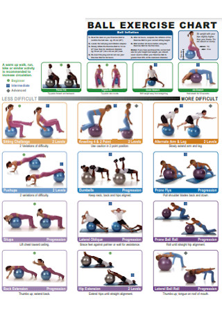 Ball Exercise Chart