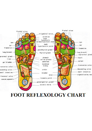 Basic Foot Reflexology Chart