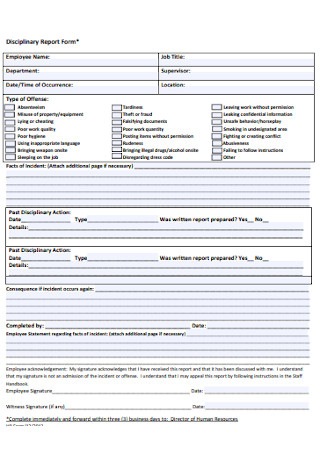 Disciplinary Report Form