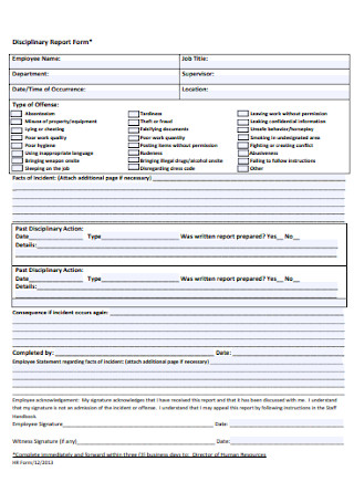 Employee Disciplinary Report Form