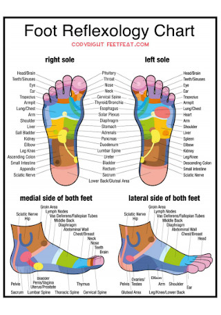 Foot Sole Reflexology Chart