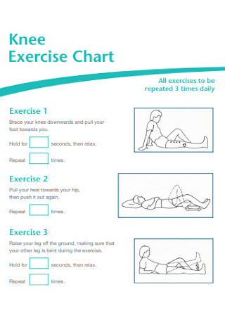 Knee Exercise Chart