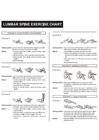 Lumbar Spine Exercise Chart