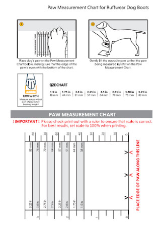 Paw Measurement Chart for Dog Boot