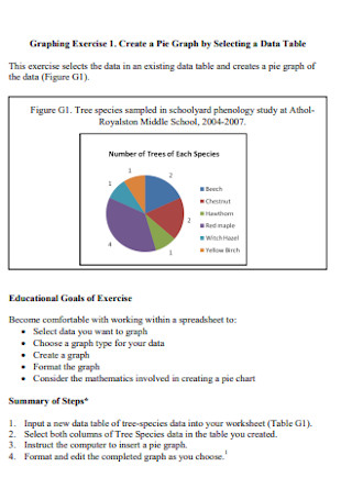 Pie Graph and Chart