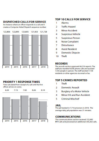 Police Annual Report Template