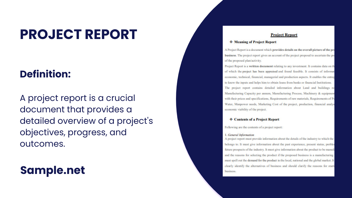 project report