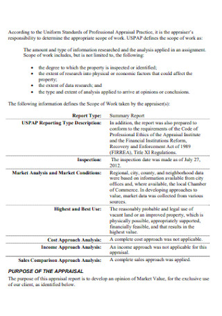 Summary Appraisal Report