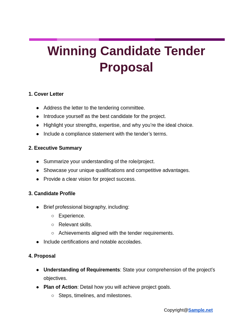 Winning Candidate Tender Proposal Google Docs 11 15 2024 12 27 PM