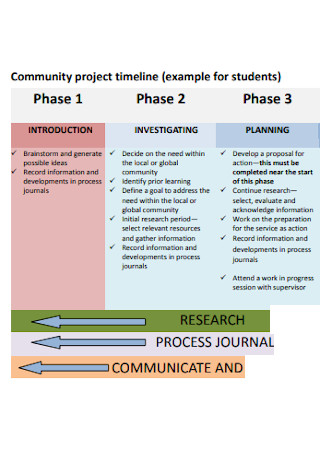 Community Project Timeline