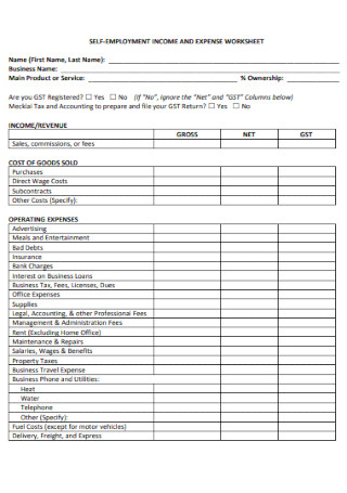 Self Employment Income and Expense Worksheet