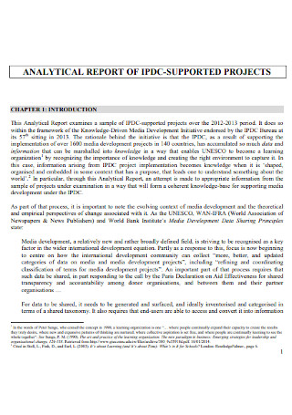 Analytical Report of Project