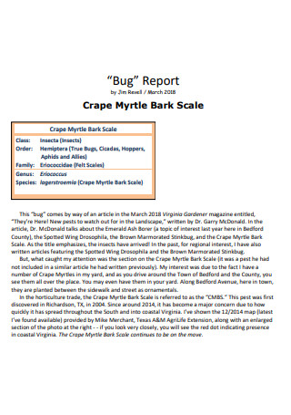 Basic Bug Report