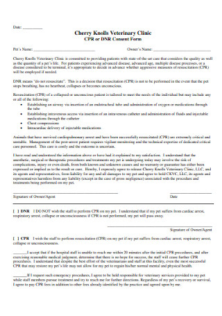 CPR or DNR Consent Form 