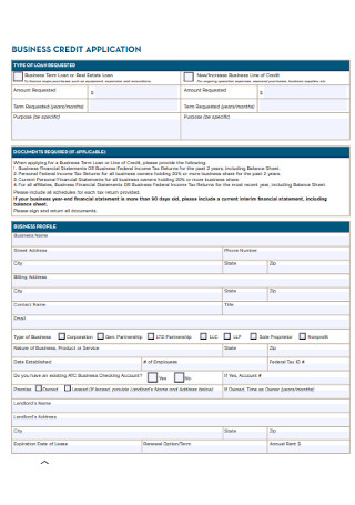 Company Business Credit Application