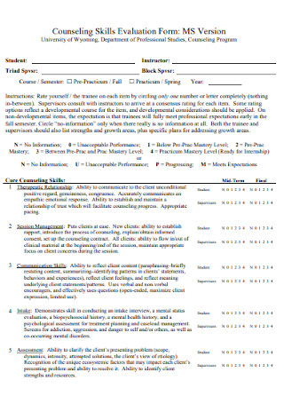 Counseling Skills Evaluation Form