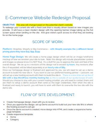 E Commerce Website Redesign Proposal