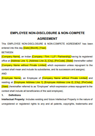 Employee Non Disclosure and Non Compete Agreement