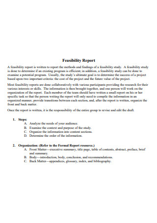 Feasibility Report Template