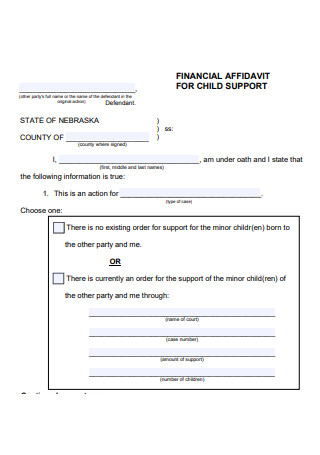 Financial Affidavit For Child Support